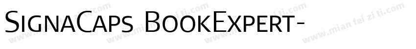SignaCaps BookExpert字体转换